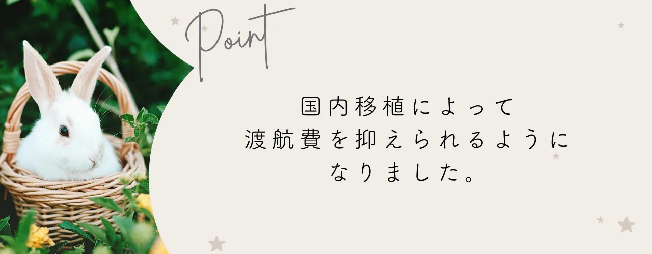 卵子提供の費用アイキャッチ