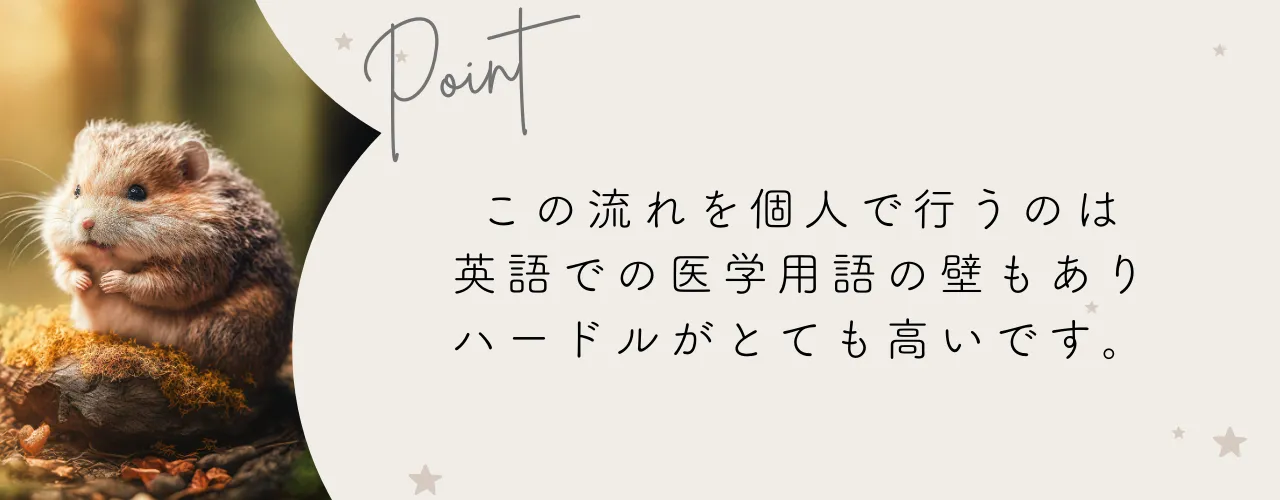 卵子提供の流れまとめ